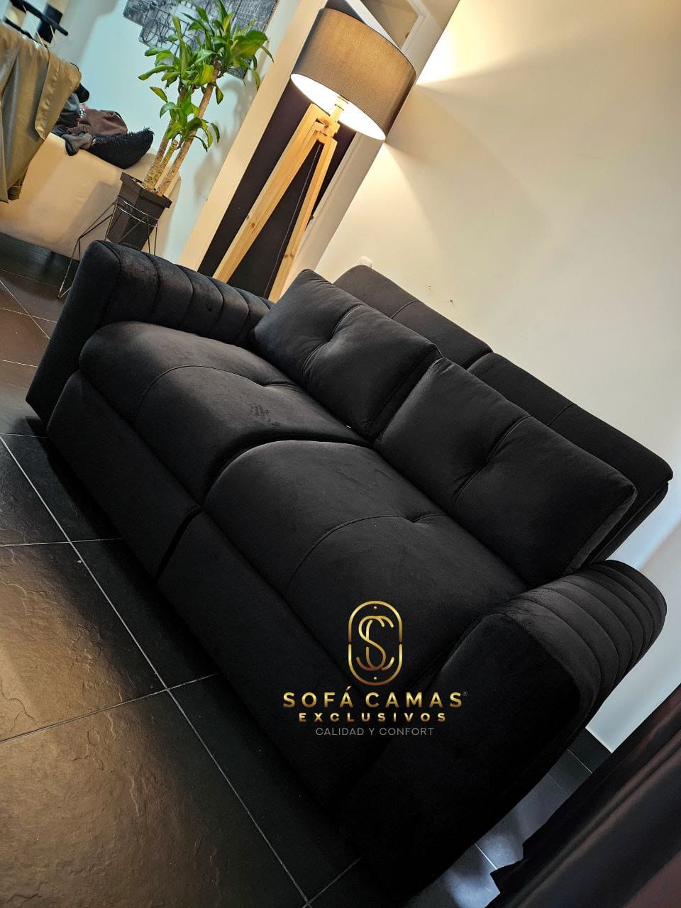 Sofá cama Ciclon Brazo De Nova de Sofá Camas Exclusivos - vista principal